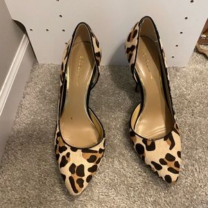 BCBG de orsay leopard pumps